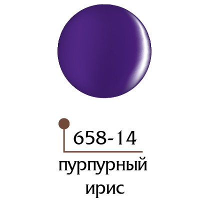 картинка ФП Гель 4D №14 пурпурный ирис 5 гр. от магазина СтильПро