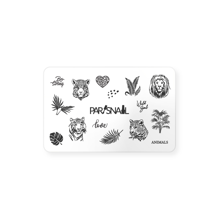 картинка Скрапер ParisNail 1 шт от магазина СтильПро